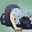 Photo de profil de Esclave2pied