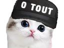 :chaton_0_tout: