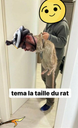 :wind4: