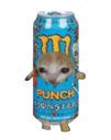 :ChatMonsterMangoLogo: