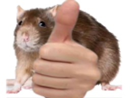 :rat_ok: