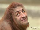 :Sarkozy_singe: