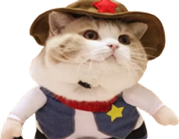 :DaggerKitties: