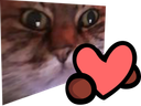 :chat_zoom_amour: