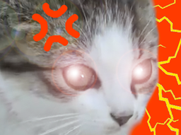 :chaton_vener: