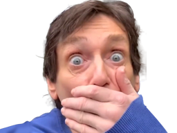 :palmade_oups: