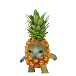 :Chatnanas: