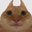 Photo de profil de Effervescence
