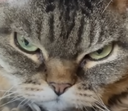 :Barbara2: