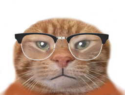 :chatlunette1: