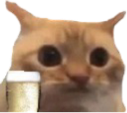 :chat_limite_champagne: