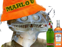 :poissonmarlou: