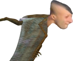 :pteralgerien: