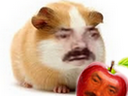 :Hamster_pommed: