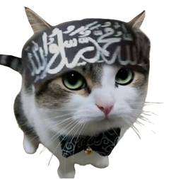 :Chat_arabe: