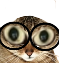 :Chat_de_Souvarine: