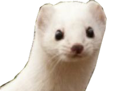 :Belette:
