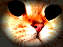 :sodium_trauma: