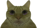 :chatfatigue: