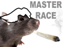 :master_rat: