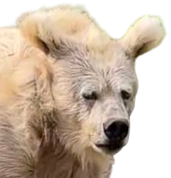 :Ours_fatigue: