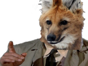 :tonybo: