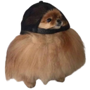 :spitz_casquette: