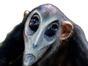 :singe_alien: