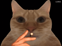 :chat-fume: