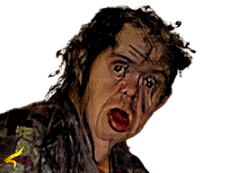 :vieux4: