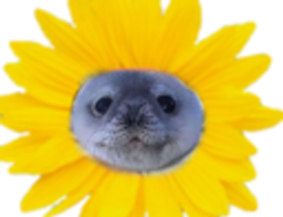 :phoquetournesol: