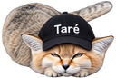 :Chat_desert_tare: