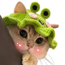 :ChatChapeau: