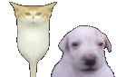 :purerchat: