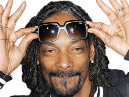 :snoop_dogg: