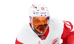 :hockey3: