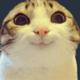 :chat_marrant: