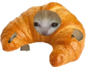 :Chroissant3: