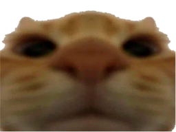 :Chatzoom: