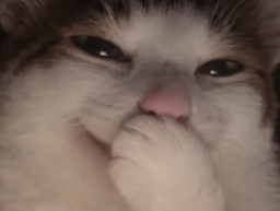 :Chat_moqueur:
