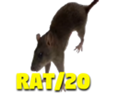 :rat_20: