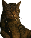 :chatdeprime: