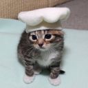 :Copain_chat_patissier_: