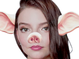 :AnyaPiggy: