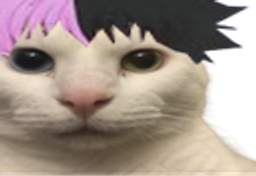 :cat_peep: