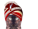 :sikh:
