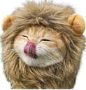 :ChatLion: