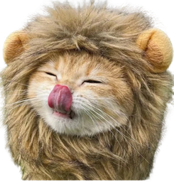 :ChatLion: