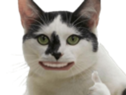 :Chatpouce: