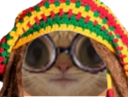 :Krist_lunettes_: